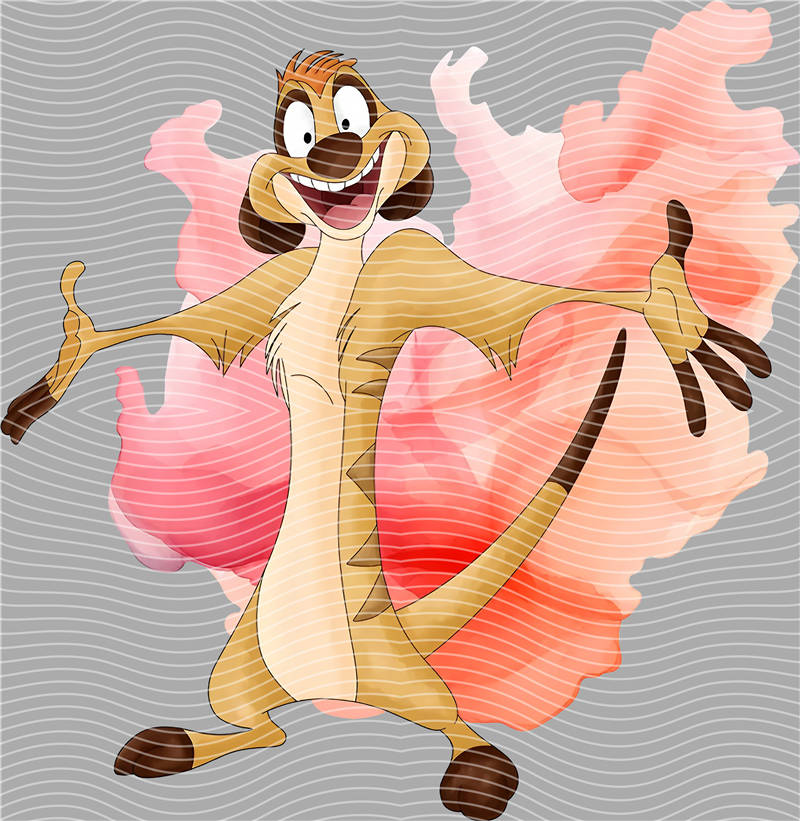 Disney-DS 429